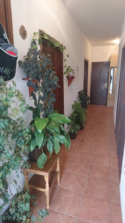 Apartment Leona Senj  Dış mekan fotoğraf